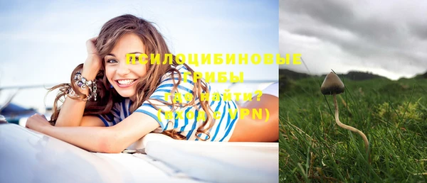 шишки Вязники