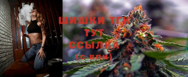 PSILOCYBIN Вяземский